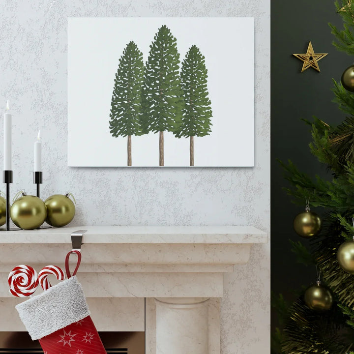 Ponderosa Pine Canvas - Large Stretched Cotton Canvas Art Print With Matte Finish