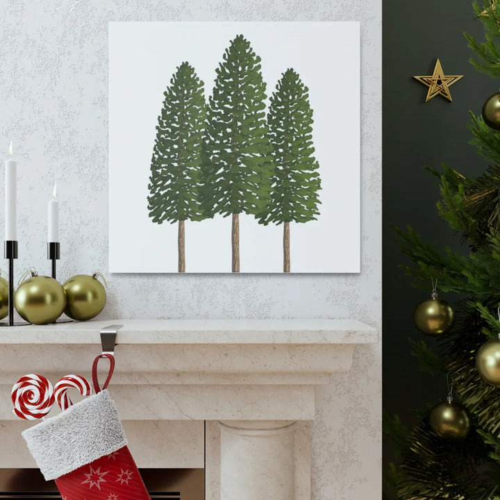 Ponderosa Pine Canvas - Large Stretched Cotton Canvas Art Print With Matte Finish