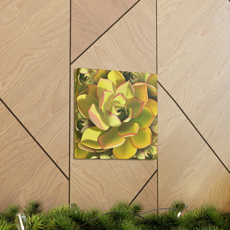 Noble Aeonium Succulent Pattern Canvas, Canvas, Printify, Art & Wall Decor, Canvas, Hanging Hardware, Home & Living, Indoor, Laura Christine Photography & Design, laurachristinedesign.com