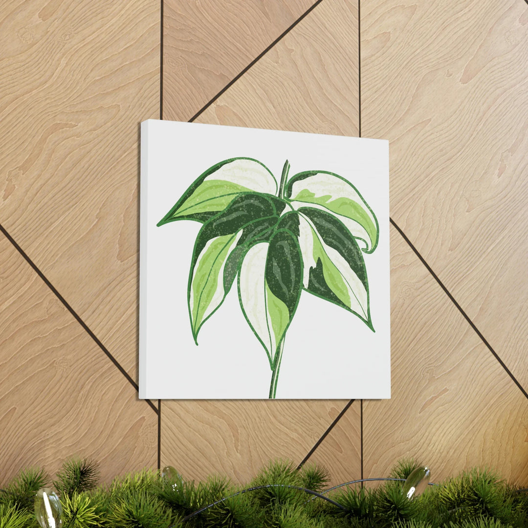Philodendron Canvas Print - Cream Splash Variegated Plant Art on Matte Cotton Canvas