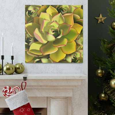 Noble Aeonium Succulent Pattern Canvas, Canvas, Printify, Art & Wall Decor, Canvas, Hanging Hardware, Home & Living, Indoor, Laura Christine Photography & Design, laurachristinedesign.com