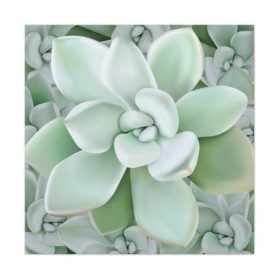 Pachyveria Haagei Succulent Pattern Canvas, Canvas, Printify, Art & Wall Decor, Canvas, Hanging Hardware, Home & Living, Indoor, Laura Christine Photography & Design, laurachristinedesign.com