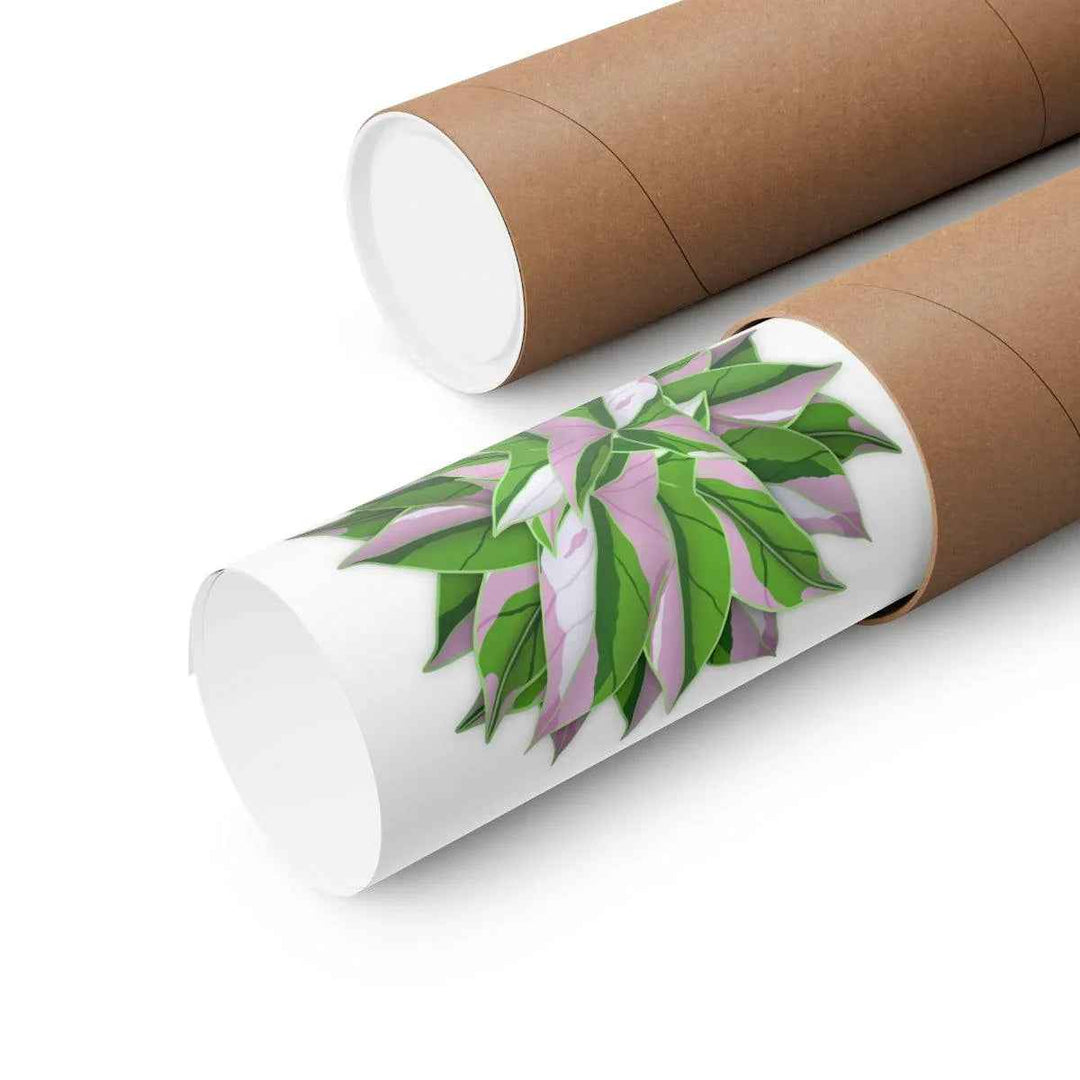 Tricolor Syngonium Print - Botanical Poster on Museum Grade Paper | Archival Ink Unframed