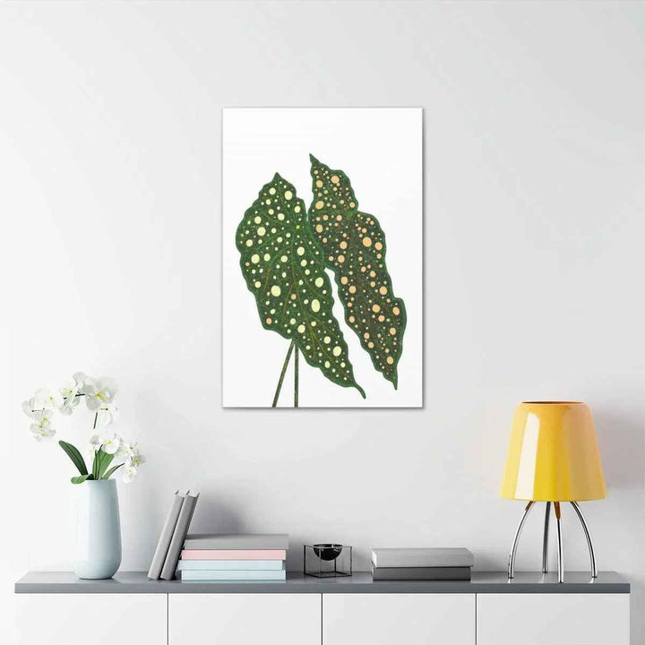 Begonia Maculata Canvas | Premium Canvas Art Print - Matte Finish, Durable Wall Decor