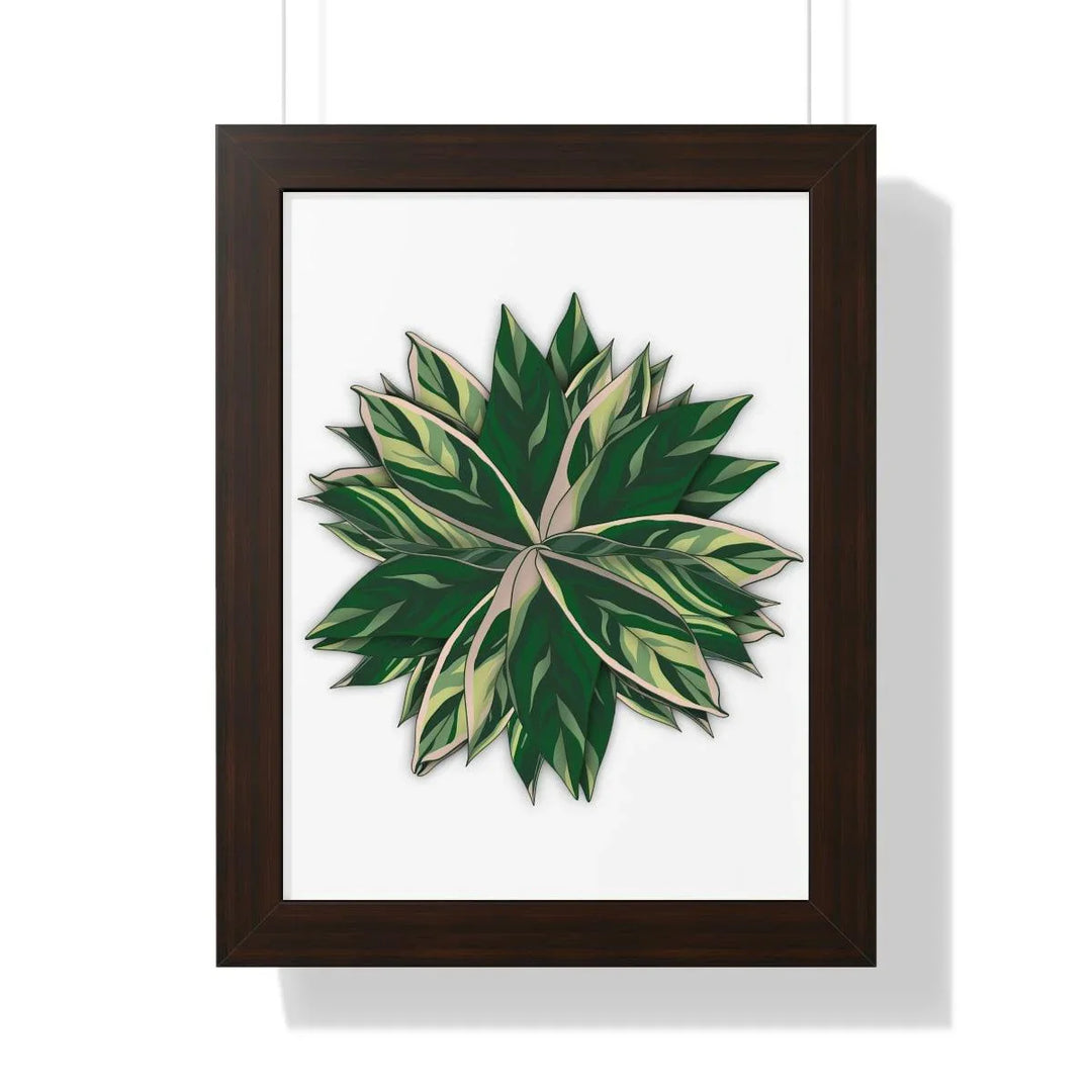 Stromanthe Triostar Framed Print, Poster, Laura Christine Photography & Design, Framed, Home & Living, Indoor, Paper, Posters, Laura Christine Photography & Design, laurachristinedesign.com