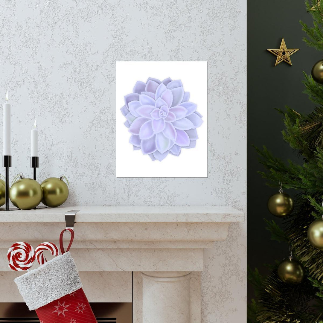 Graptopetalum 'Murasaki' Succulent Print, Poster, Laura Christine Photography & Design, Back to School, Home & Living, Indoor, Matte, Paper, Posters, Valentine's Day promotion, Laura Christine Photography & Design, laurachristinedesign.com