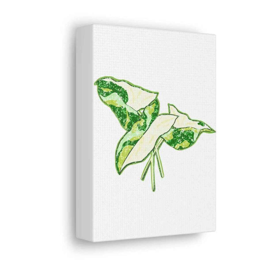 Marble Syngonium Canvas - Botanical Canvas Art Print | Durable Cotton Matte Finish