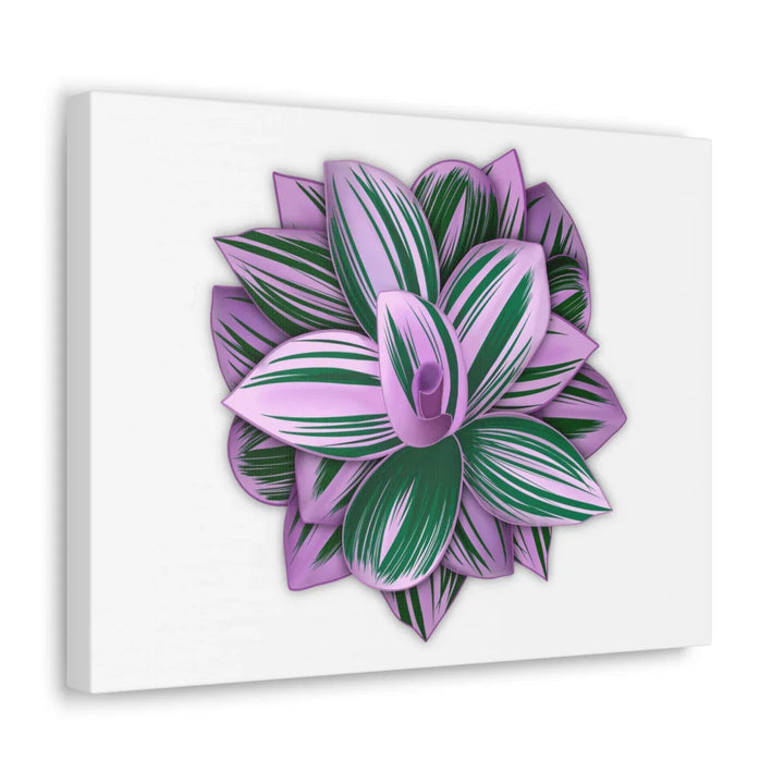Tradescantia Nanouk Canvas – Botanical Canvas Art Print | Matte Finish Wall Decor - Laura Christine Photography & Design