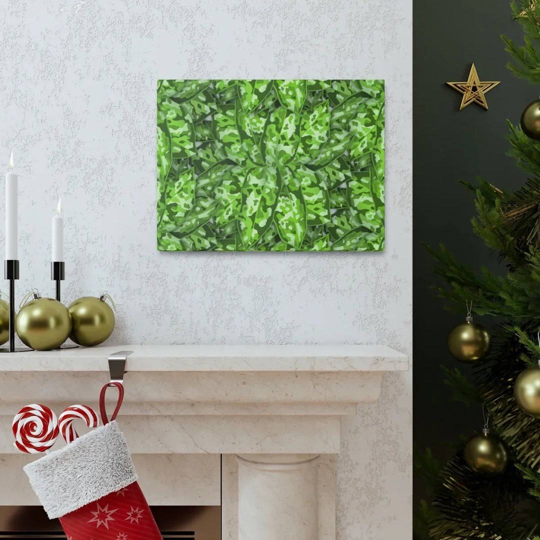 Aglaonema Pictum Canvas - Rare Camouflage Leaf Print Canvas Art Print