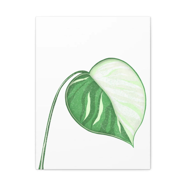 Monstera Albo Canvas | Large Tropical Leaf Artwork - Matte Finish Canvas Art Print - Laura Christine Photography & Design