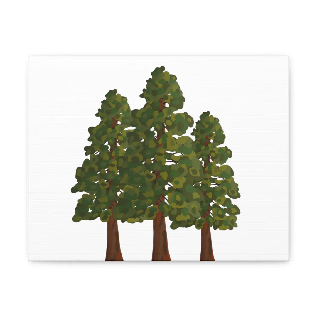Coastal Redwoods Canvas - Stretched Cotton Canvas Art Print | Matte Finish Wall Hanging Artwork