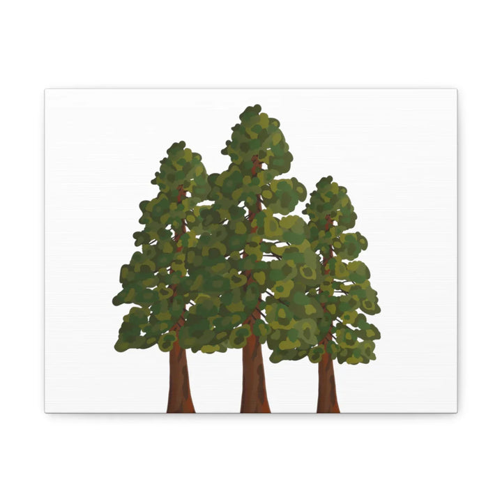 Coastal Redwoods Canvas - Stretched Cotton Canvas Art Print | Matte Finish Wall Hanging Artwork