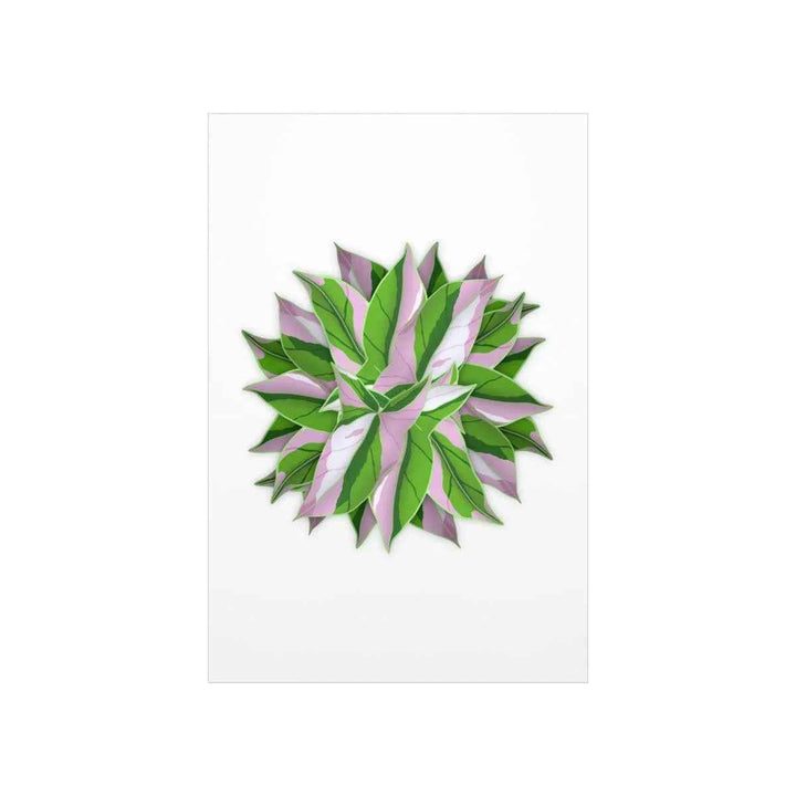 Tricolor Syngonium Print - Botanical Poster on Museum Grade Paper | Archival Ink Unframed