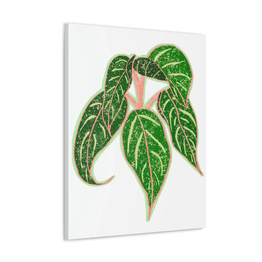 Aglaonema Plant Canvas | Sparkling Plant Artwork - Colorfast Canvas Art Print Decor