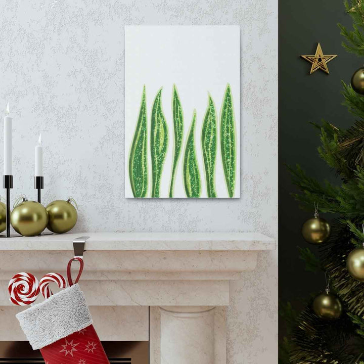 Snake Plant Canvas | Botanical Canvas Decor - Matte Finish Artwork for Living Room