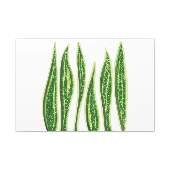 Snake Plant Canvas | Botanical Canvas Decor - Matte Finish Artwork for Living Room - Laura Christine Photography & Design