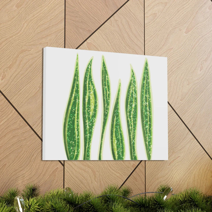 Snake Plant Canvas | Botanical Canvas Decor - Matte Finish Artwork for Living Room - Laura Christine Photography & Design