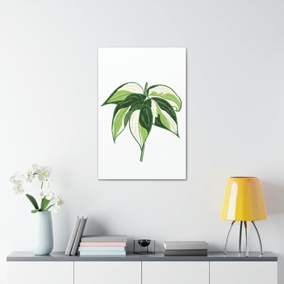 Philodendron 'Cream Splash' Canvas, Canvas, Printify, Art & Wall Decor, Canvas, Hanging Hardware, Home & Living, Indoor, Laura Christine Photography & Design, laurachristinedesign.com