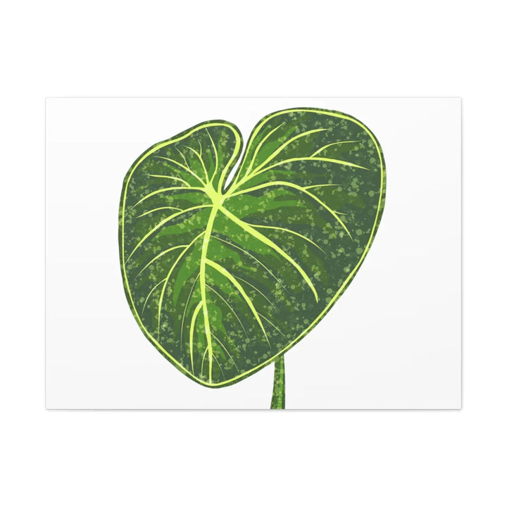 Philodendron Gloriosum Canvas - Stretched Canvas Art Print | Matte Indoor Wall Art - Laura Christine Photography & Design