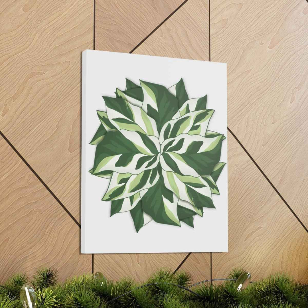 Calathea White Fusion Canvas | Indoor Wall Art - Matte Finish Botanical Canvas Art Print