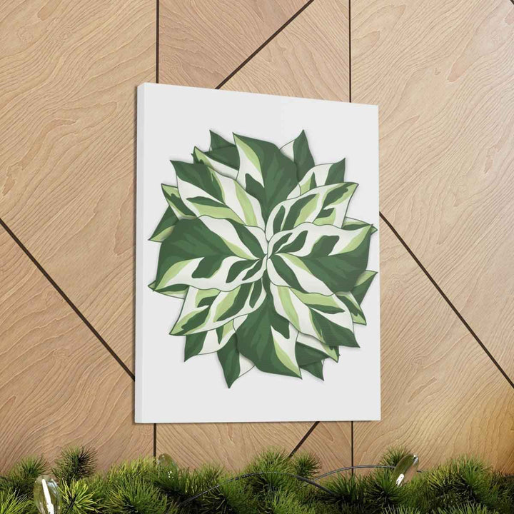 Calathea White Fusion Canvas | Indoor Wall Art - Matte Finish Botanical Canvas Art Print