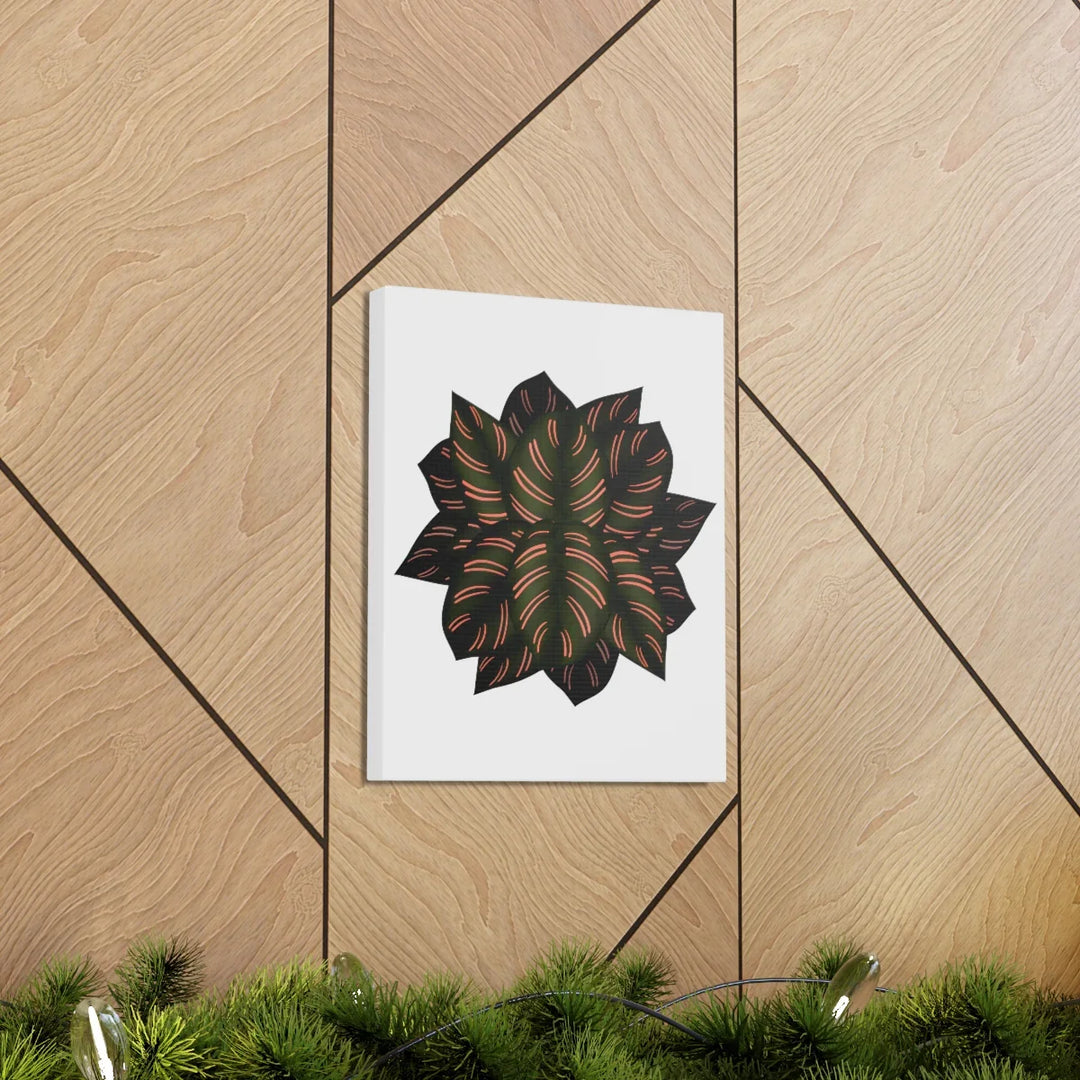 Calathea Pinstripe Canvas – Botanical Canvas Art Print | Matte Finish Wall Decor