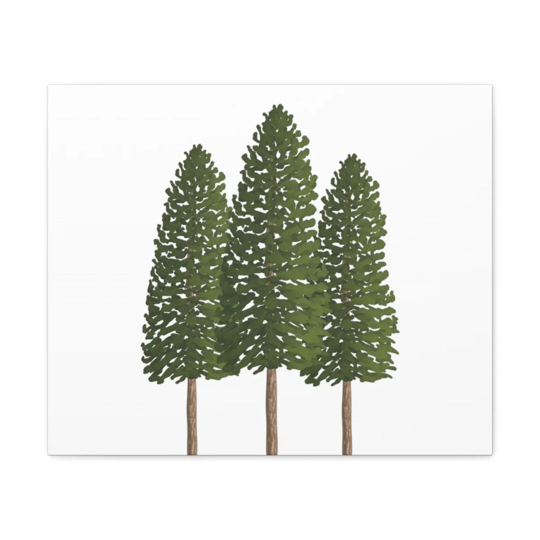 Ponderosa Pine Canvas - Large Stretched Cotton Canvas Art Print With Matte Finish