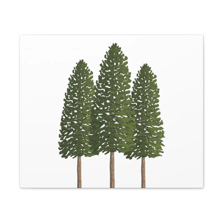 Ponderosa Pine Canvas - Large Stretched Cotton Canvas Art Print With Matte Finish