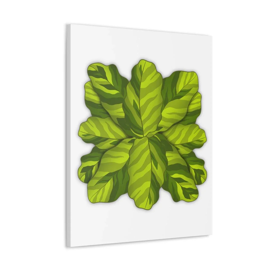 Calathea Yellow Fusion Canvas – Botanical Canvas Print With Unique Leaf Pattern Art - Laura Christine Photography & Design