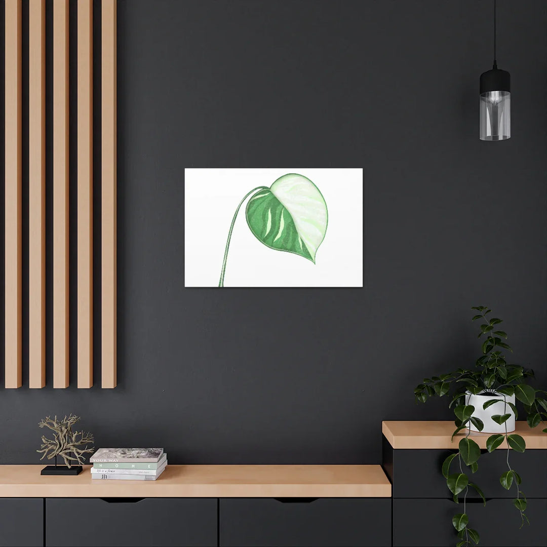 Monstera Albo Canvas | Large Tropical Leaf Artwork - Matte Finish Canvas Art Print - Laura Christine Photography & Design