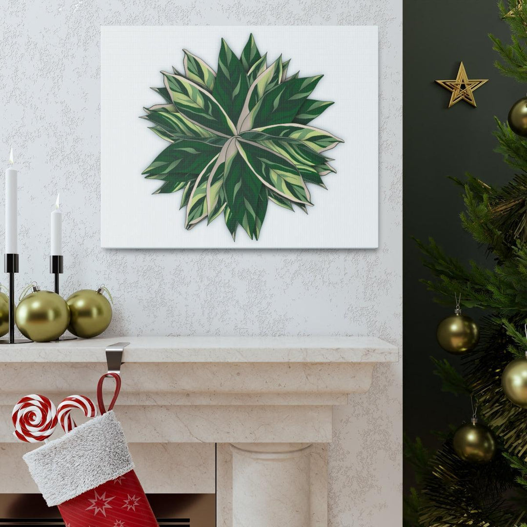 Stromanthe Triostar Canvas - Pastel Stripe Canvas Art Print With Vivid Color Artwork - Laura Christine Photography & Design