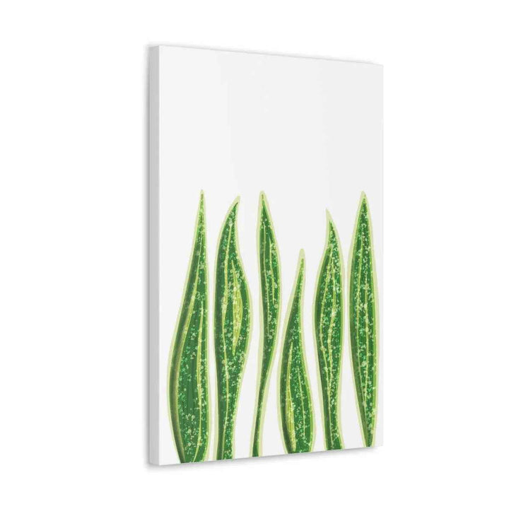 Snake Plant Canvas | Botanical Canvas Decor - Matte Finish Artwork for Living Room