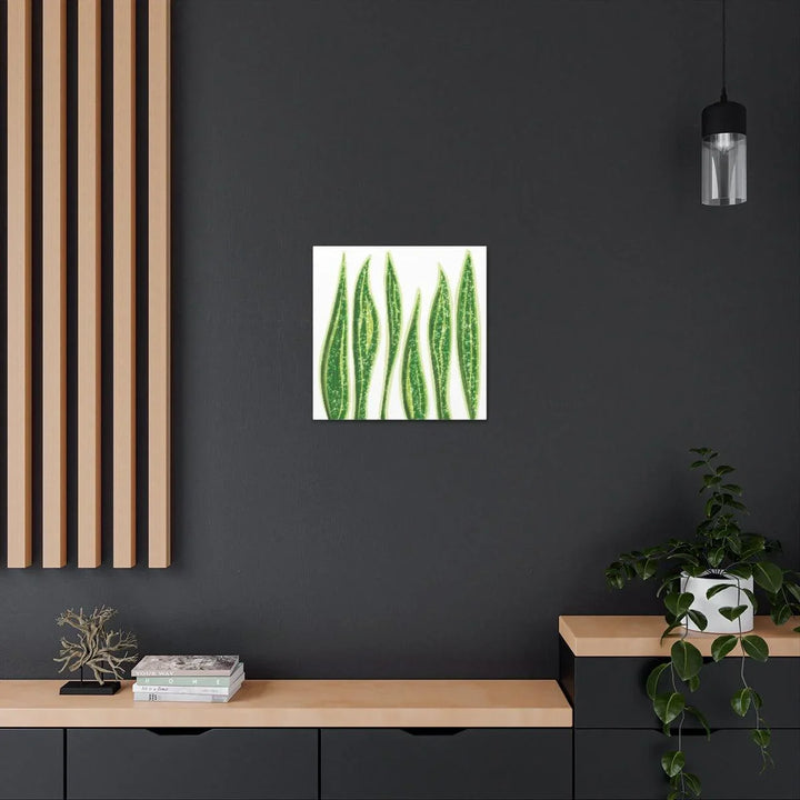 Snake Plant Canvas | Botanical Canvas Decor - Matte Finish Artwork for Living Room - Laura Christine Photography & Design