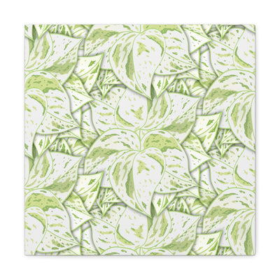 Snow Queen Pothos Canvas