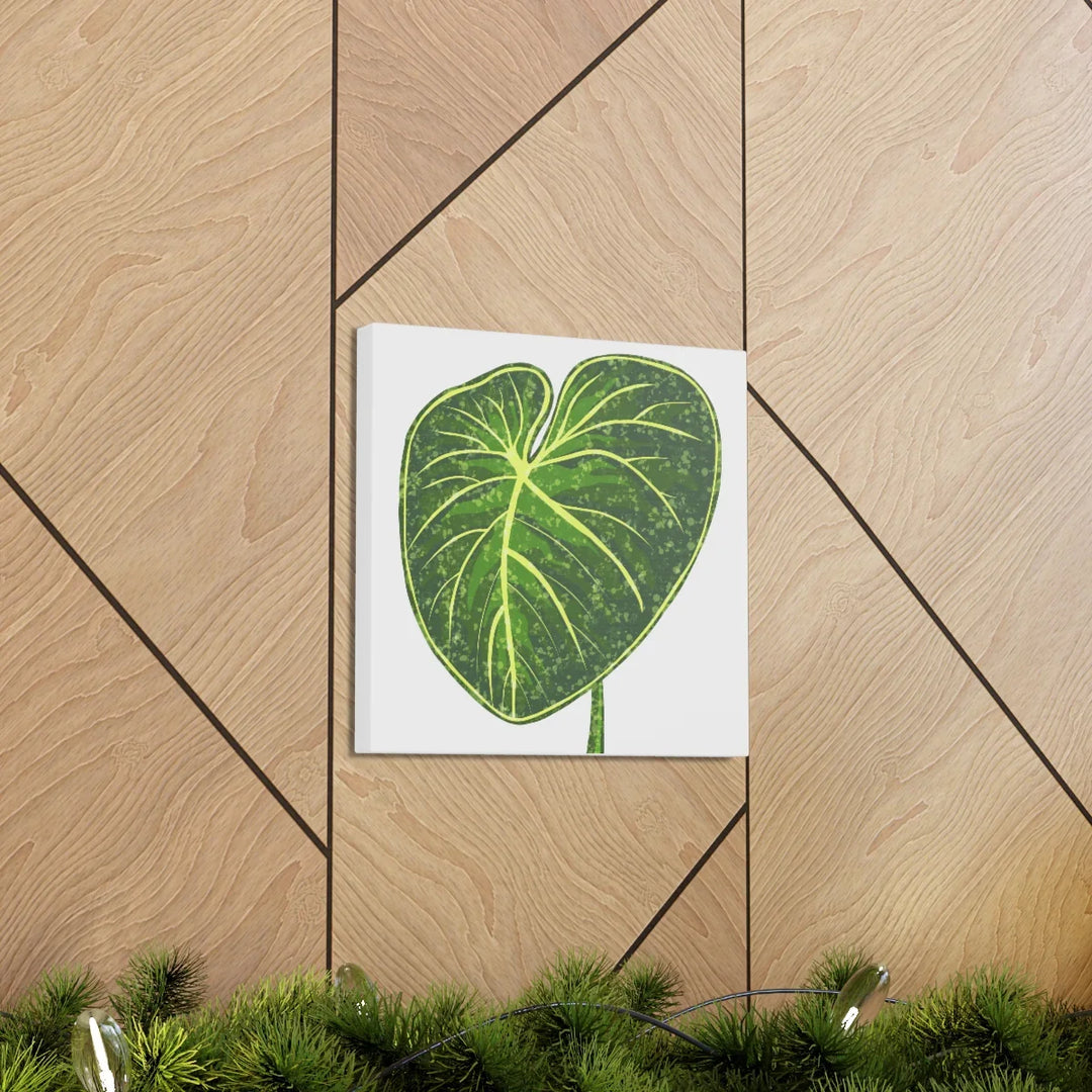 Philodendron Gloriosum Canvas - Stretched Canvas Art Print | Matte Indoor Wall Art - Laura Christine Photography & Design