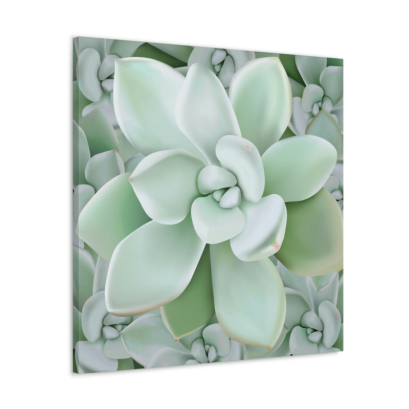 Pachyveria Haagei Succulent Pattern Canvas, Canvas, Printify, Art & Wall Decor, Canvas, Hanging Hardware, Home & Living, Indoor, Laura Christine Photography & Design, laurachristinedesign.com