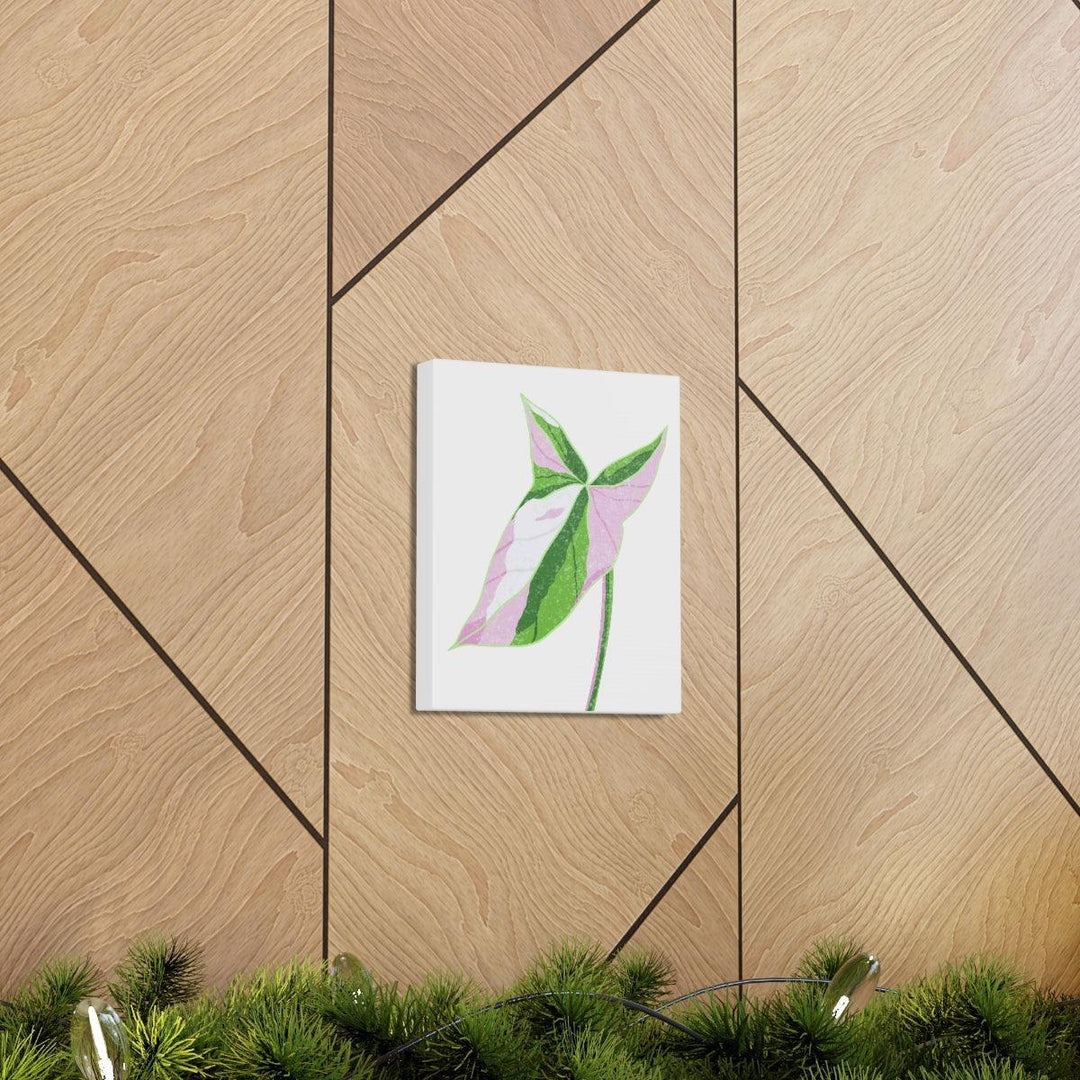 Syngonium Tricolor Canvas | Botanical Canvas Art Print With Matte Finish - Laura Christine Photography & Design
