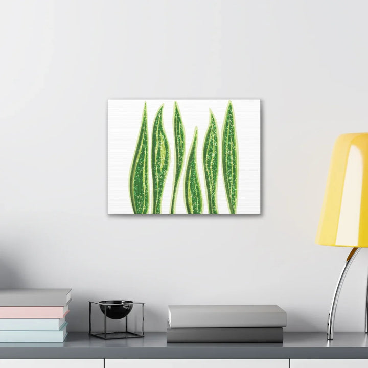 Snake Plant Canvas | Botanical Canvas Decor - Matte Finish Artwork for Living Room - Laura Christine Photography & Design