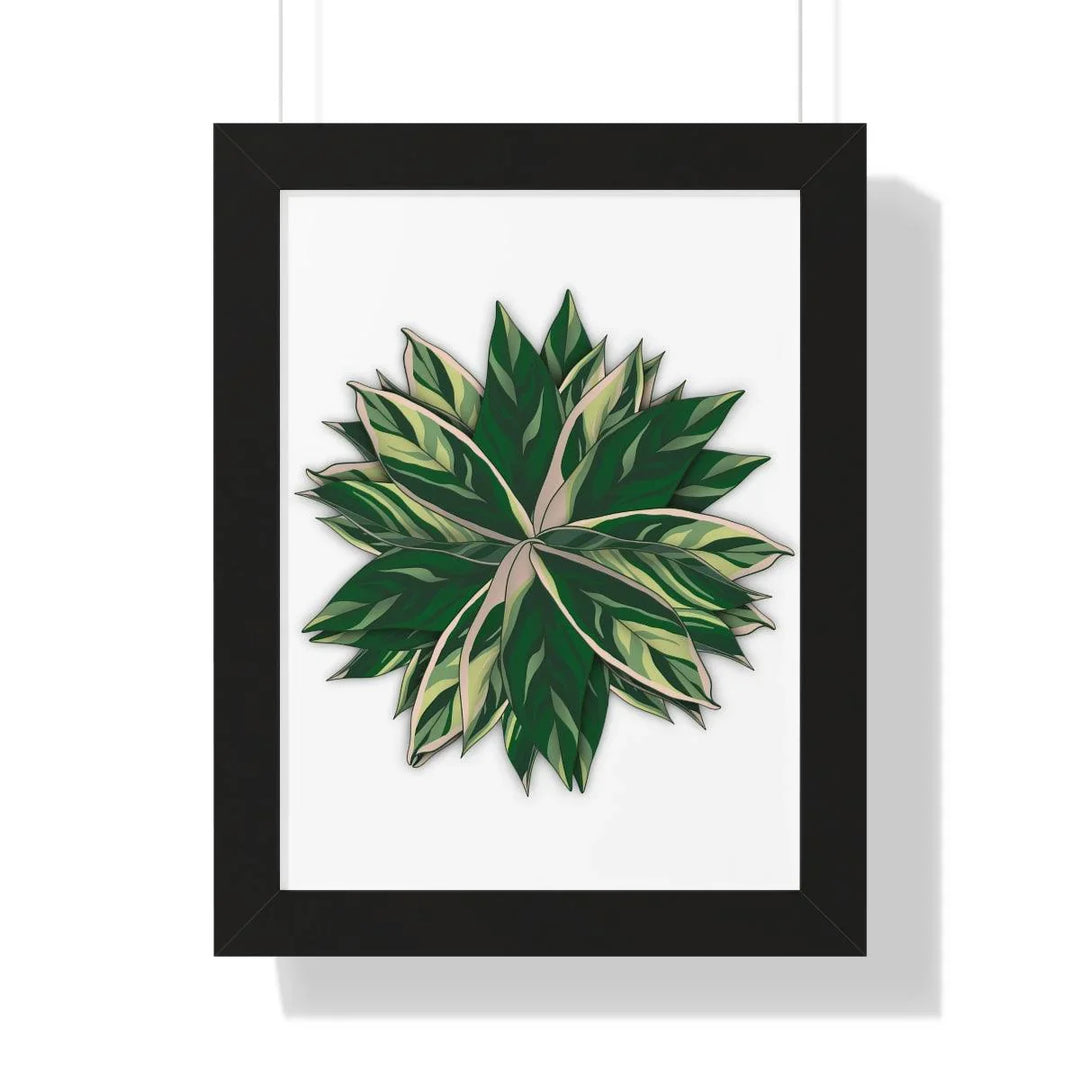 Stromanthe Triostar Framed Print, Poster, Laura Christine Photography & Design, Framed, Home & Living, Indoor, Paper, Posters, Laura Christine Photography & Design, laurachristinedesign.com