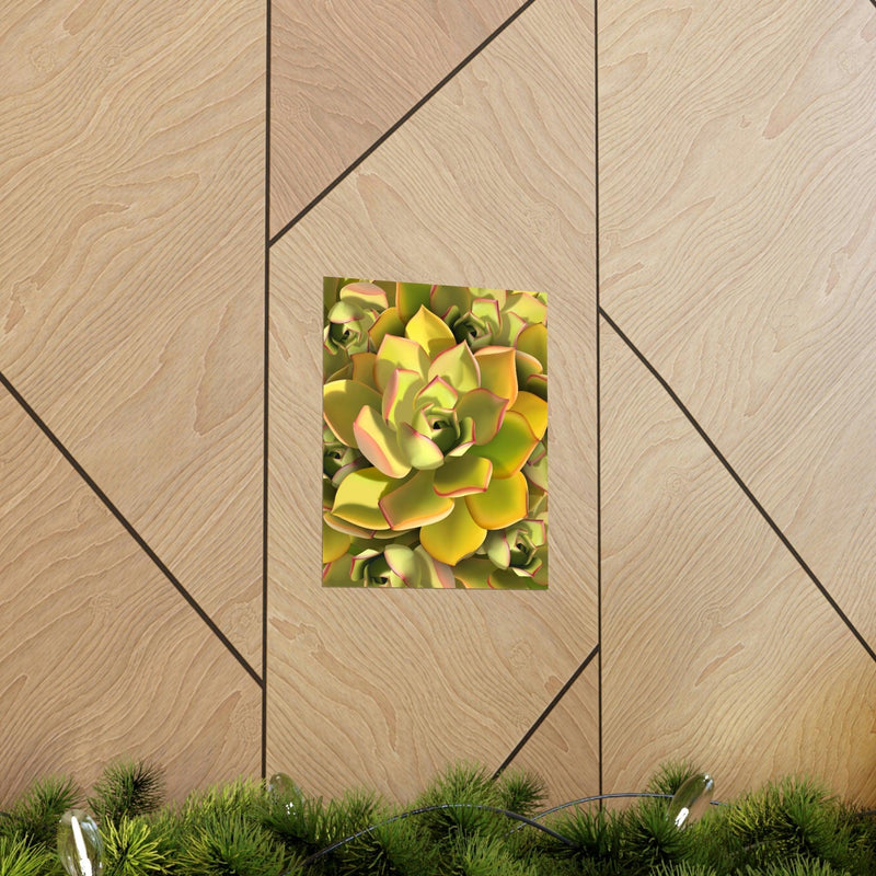 Noble Aeonium Succulent Pattern Print, Poster, Printify, Back to School, Home & Living, Indoor, Matte, Paper, Posters, Valentine&