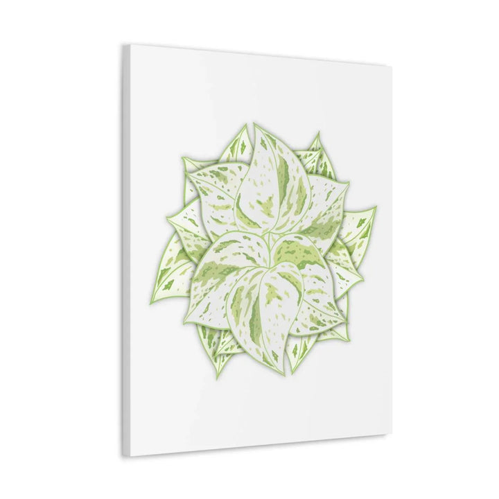 Snow Queen Pothos Canvas – Variegated Leaf Canvas Art Print | Durable Cotton - Laura Christine Photography & Design