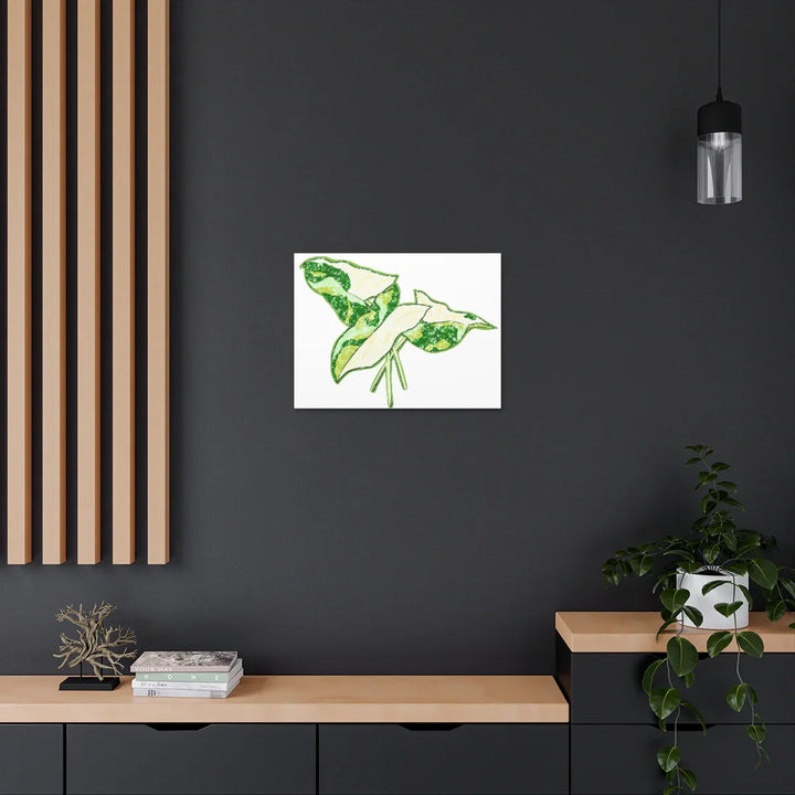 Marble Syngonium Canvas - Botanical Canvas Art Print | Durable Cotton Matte Finish - Laura Christine Photography & Design
