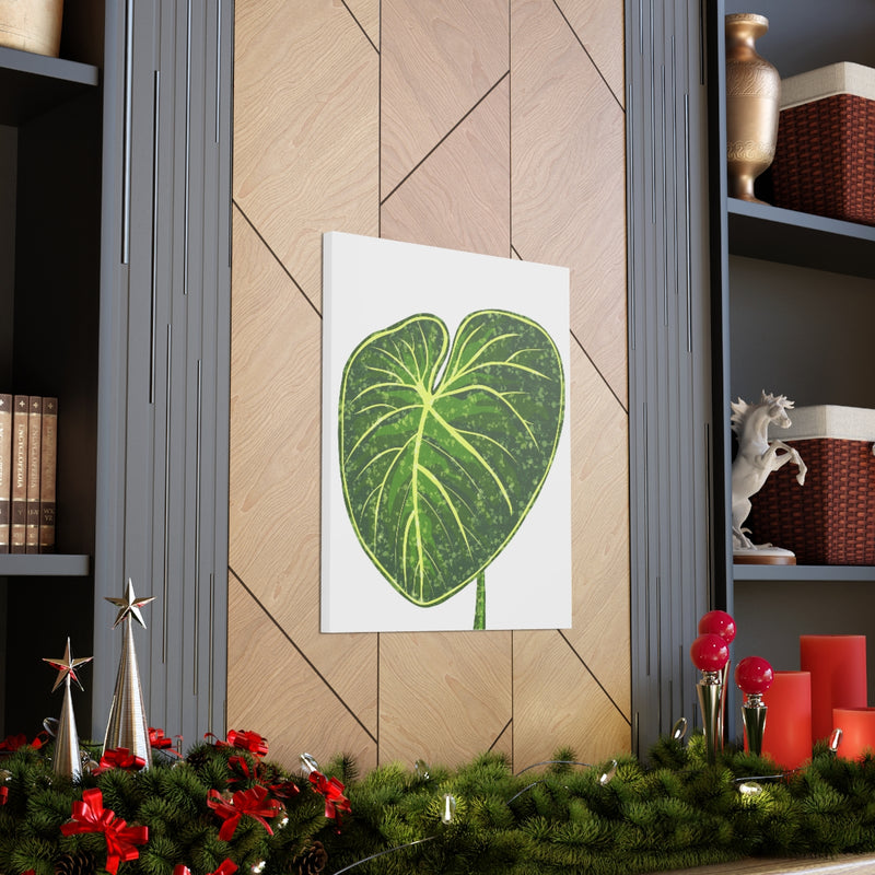 Philodendron Gloriosum Canvas