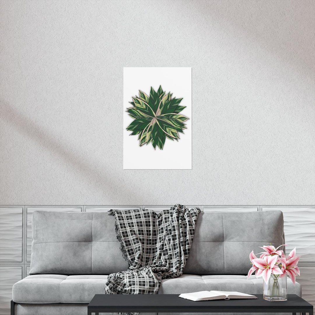 Stromanthe Triostar Print – Tropical Wall Art | Botanical Poster on Museum Grade Paper Unframed - Laura Christine Photography & Design