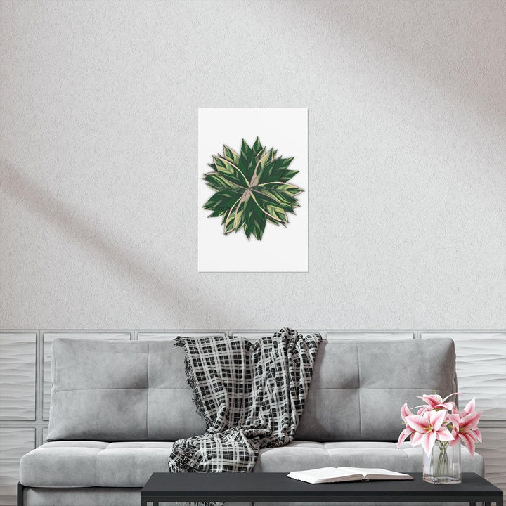 Stromanthe Triostar Print – Tropical Wall Art | Botanical Poster on Museum Grade Paper Unframed - Laura Christine Photography & Design