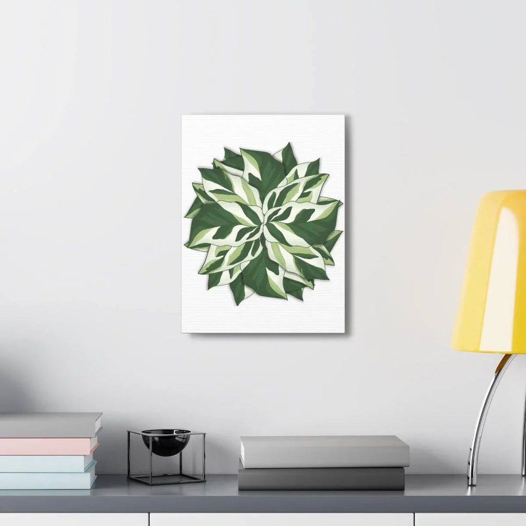 Calathea White Fusion Canvas | Indoor Wall Art - Matte Finish Botanical Canvas Art Print - Laura Christine Photography & Design