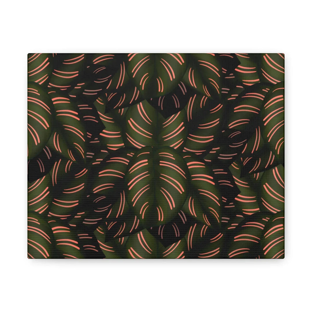 Calathea Pinstripe Canvas – Botanical Canvas Art Print | Matte Finish Wall Decor