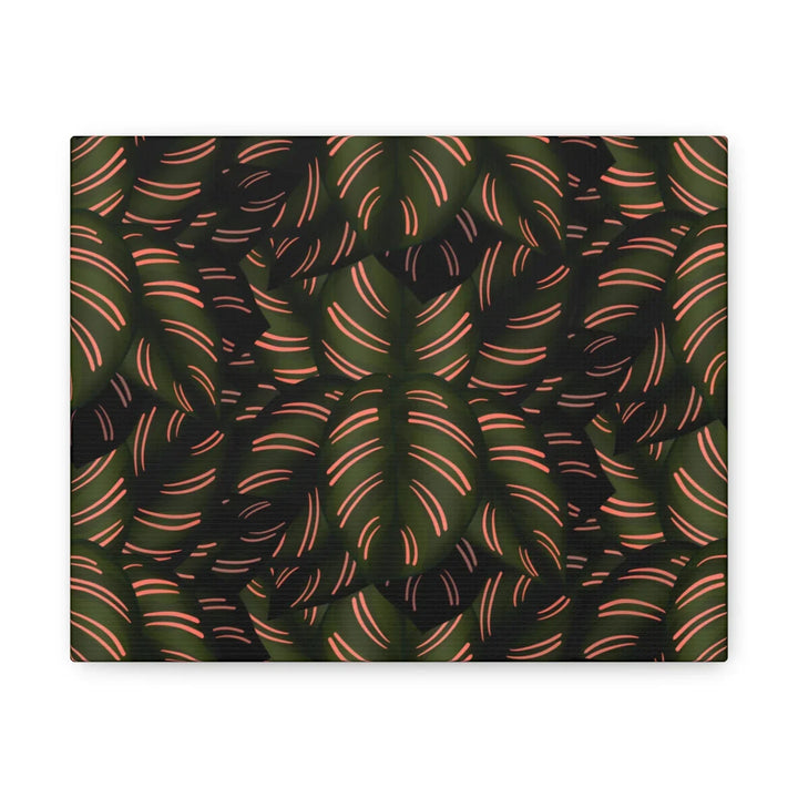 Calathea Pinstripe Canvas – Botanical Canvas Art Print | Matte Finish Wall Decor