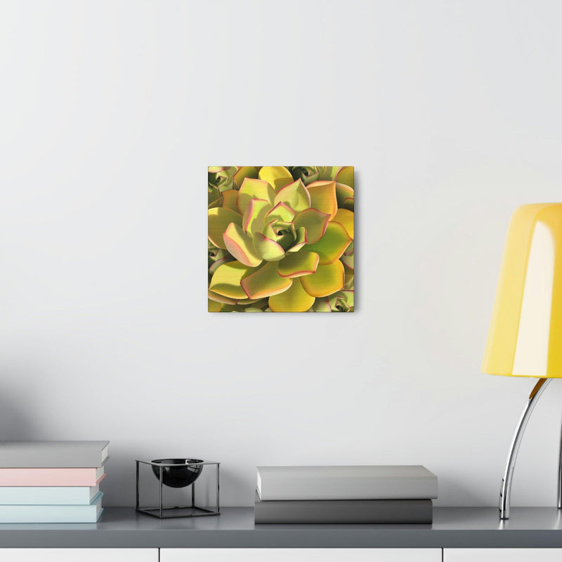 Noble Aeonium Succulent Pattern Canvas, Canvas, Printify, Art & Wall Decor, Canvas, Hanging Hardware, Home & Living, Indoor, Laura Christine Photography & Design, laurachristinedesign.com