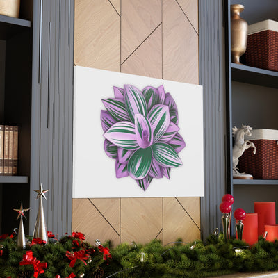 Tradescantia Nanouk Canvas